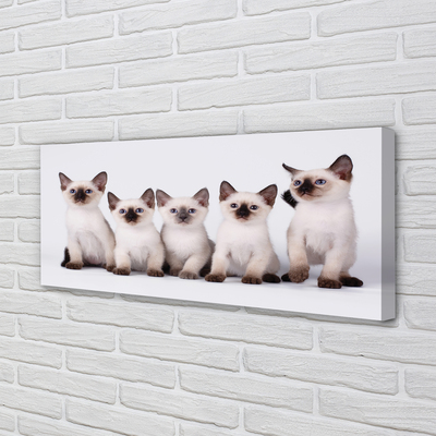 Pintura em tela Gatinhos