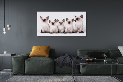 Pintura em tela Gatinhos