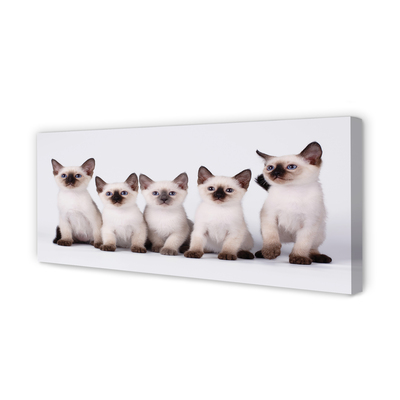 Pintura em tela Gatinhos