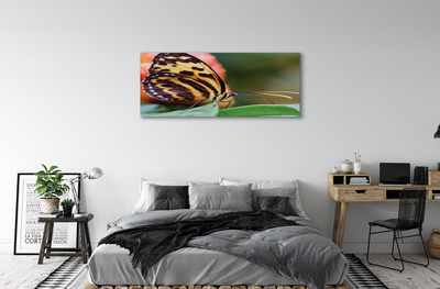 Pintura em tela Borboleta