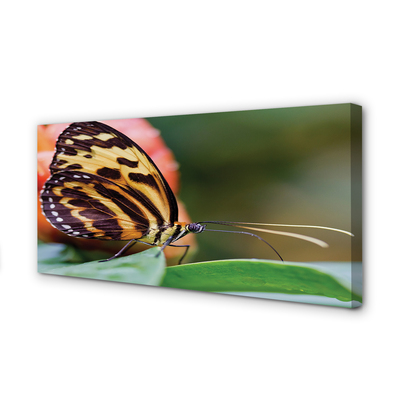 Pintura em tela Borboleta