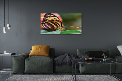 Pintura em tela Borboleta