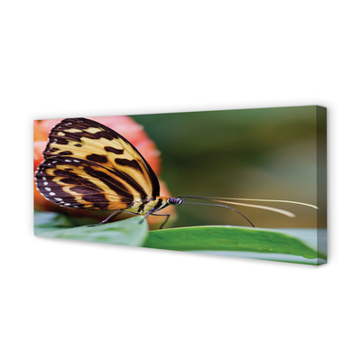 Pintura em tela Borboleta