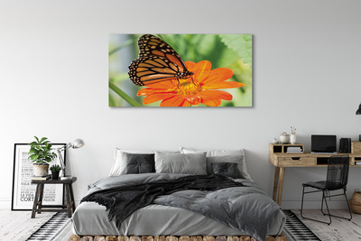 Quadro em tela Flor borboleta colorida