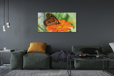 Quadro em tela Flor borboleta colorida