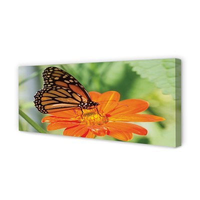 Quadro em tela Flor borboleta colorida