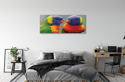 Pintura em tela Papagaios coloridos