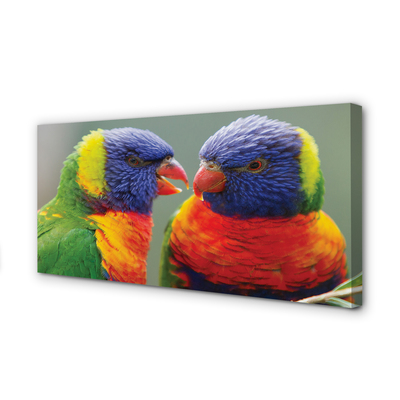 Pintura em tela Papagaios coloridos