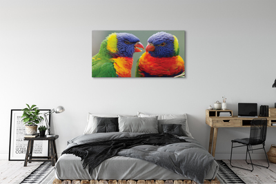 Pintura em tela Papagaios coloridos