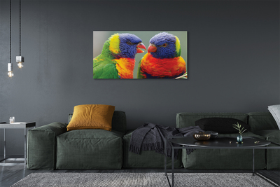 Pintura em tela Papagaios coloridos