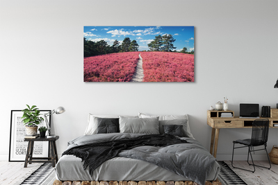 Quadro em tela Campo, urze, floresta