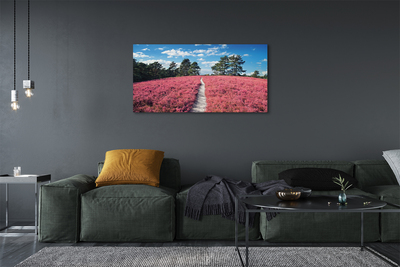 Quadro em tela Campo, urze, floresta