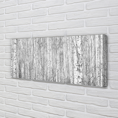 Pintura em tela Árvores florestais em preto e branco