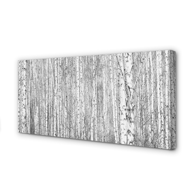 Pintura em tela Árvores florestais em preto e branco