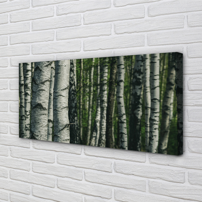 Quadro em tela Floresta de bétulas