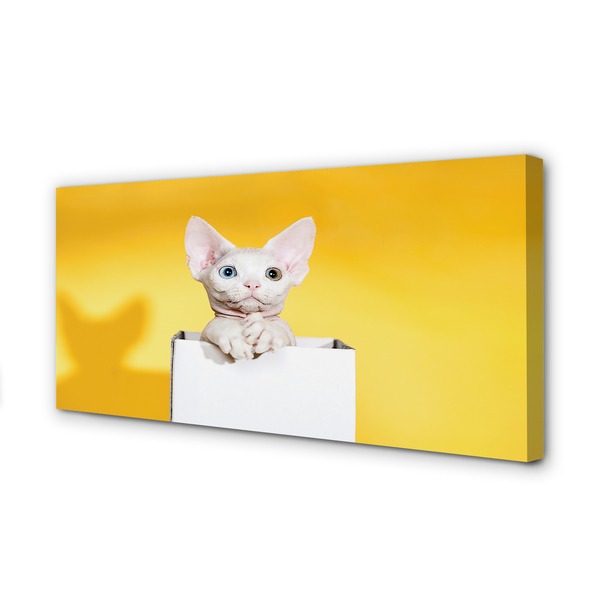 Quadro em tela Gato sentado