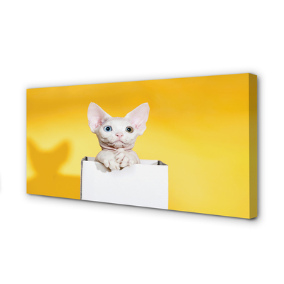 Quadro em tela Gato sentado