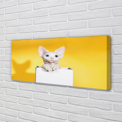 Quadro em tela Gato sentado