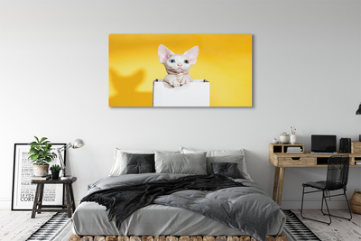 Quadro em tela Gato sentado