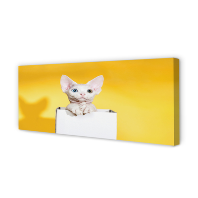 Quadro em tela Gato sentado