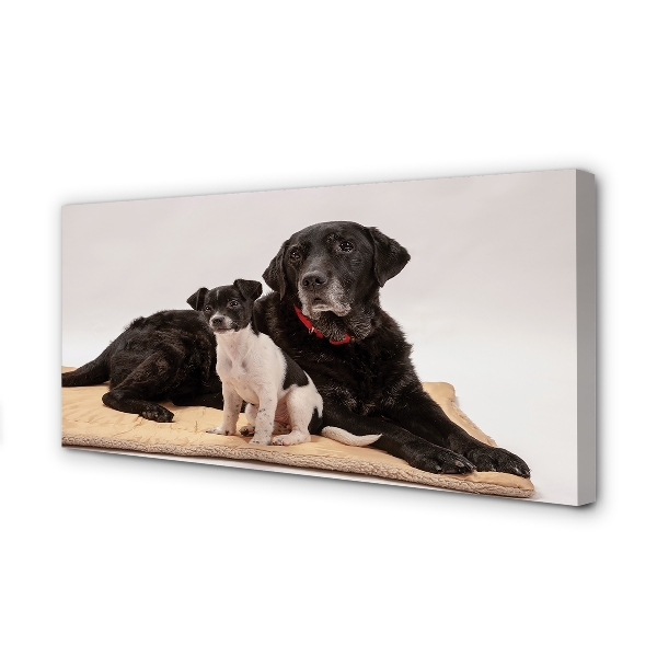 Quadro em tela Cães mentirosos