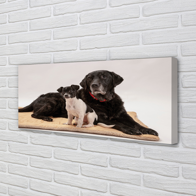 Quadro em tela Cães mentirosos