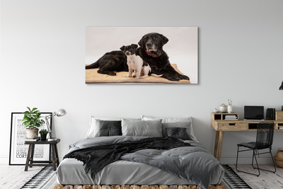 Quadro em tela Cães mentirosos