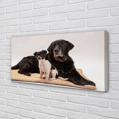 Quadro em tela Cães mentirosos