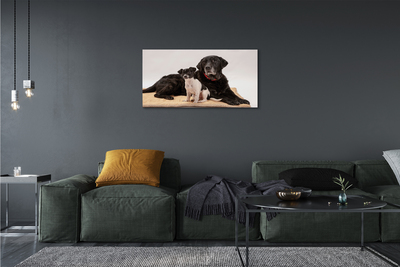 Quadro em tela Cães mentirosos