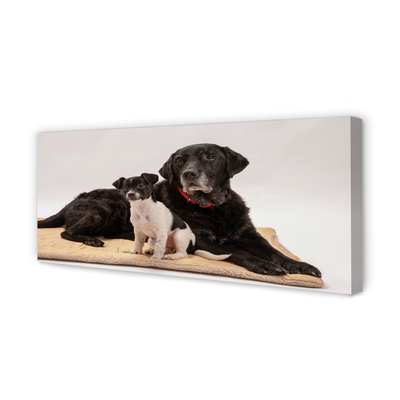 Quadro em tela Cães mentirosos