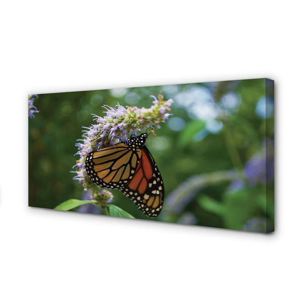 Quadro em tela Flor borboleta colorida