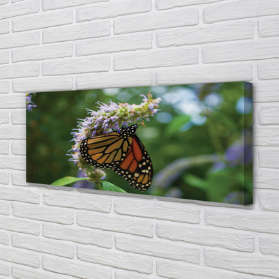 Quadro em tela Flor borboleta colorida