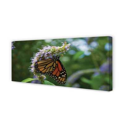 Quadro em tela Flor borboleta colorida