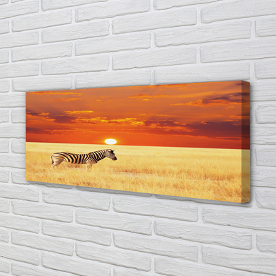 Pintura em tela Pôr do sol no campo de zebras