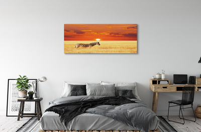 Pintura em tela Pôr do sol no campo de zebras