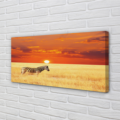 Pintura em tela Pôr do sol no campo de zebras