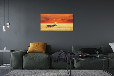 Pintura em tela Pôr do sol no campo de zebras