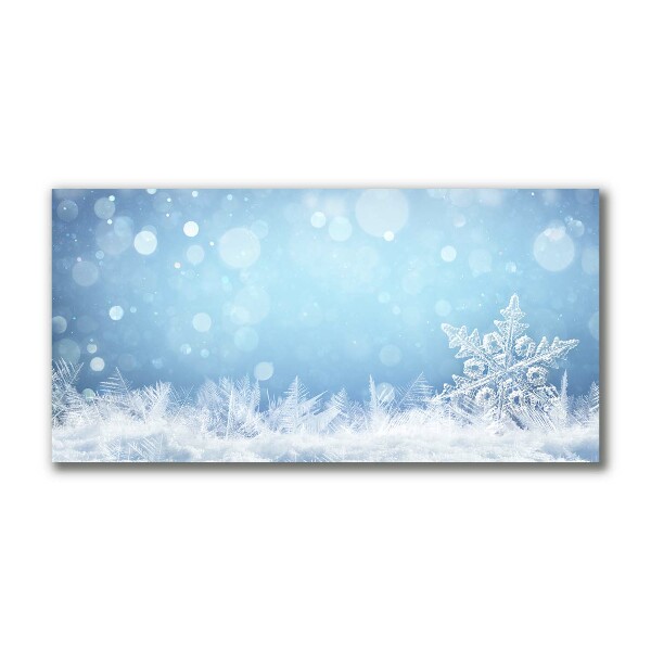 Quadro de parede em tela Flocos de neve Neve de inverno