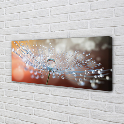 Pintura em tela Macro de gotas de dente-de-leão