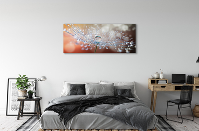 Pintura em tela Macro de gotas de dente-de-leão