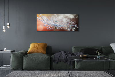 Pintura em tela Macro de gotas de dente-de-leão