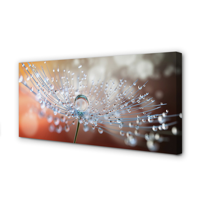 Pintura em tela Macro de gotas de dente-de-leão