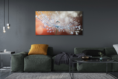 Pintura em tela Macro de gotas de dente-de-leão