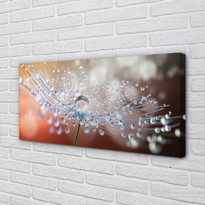 Pintura em tela Macro de gotas de dente-de-leão