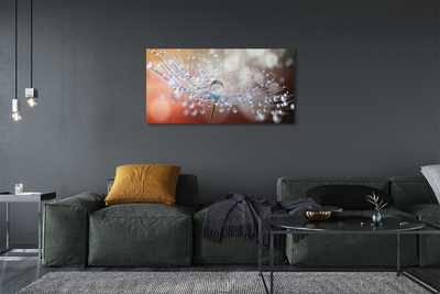 Pintura em tela Macro de gotas de dente-de-leão