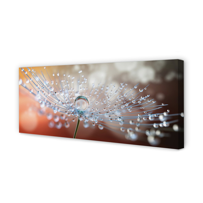 Pintura em tela Macro de gotas de dente-de-leão