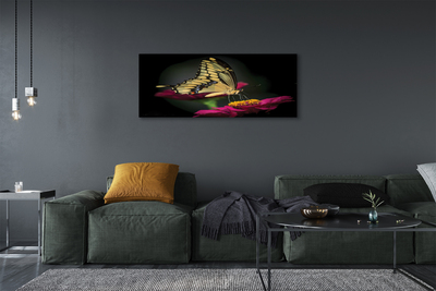 Quadro em tela Borboleta em uma flor