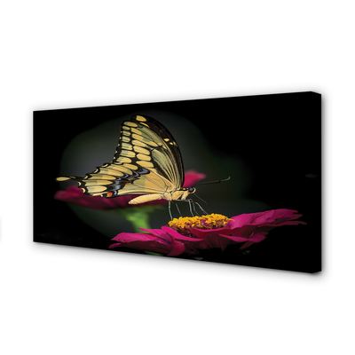 Quadro em tela Borboleta em uma flor