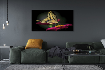 Quadro em tela Borboleta em uma flor