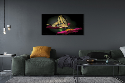 Quadro em tela Borboleta em uma flor